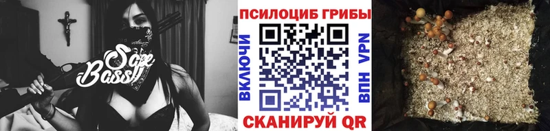 Купить где  Сальск  Галлюциногенные грибы Cubensis 